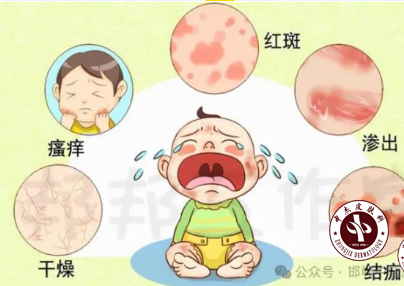 企业微信截图_17465231791563.png